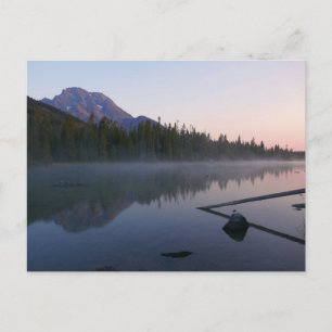 Sunrise Reflection at String Lake II Postcard