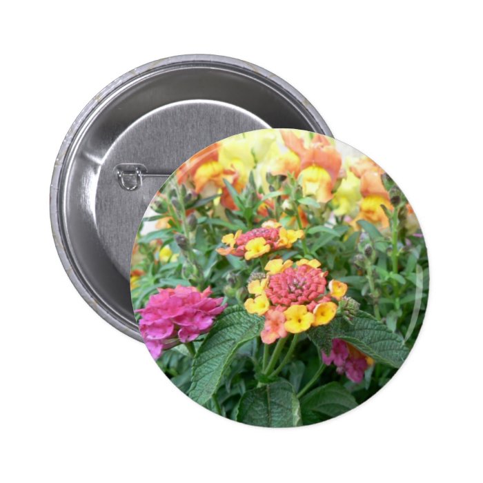 Sunrise Rose Lantana Pinback Button