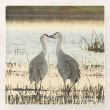 Sunrise Sandhill Crane pair