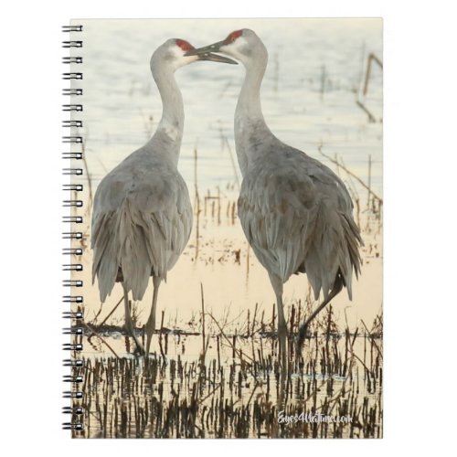 Sunrise Sandhill Crane pair Notebook