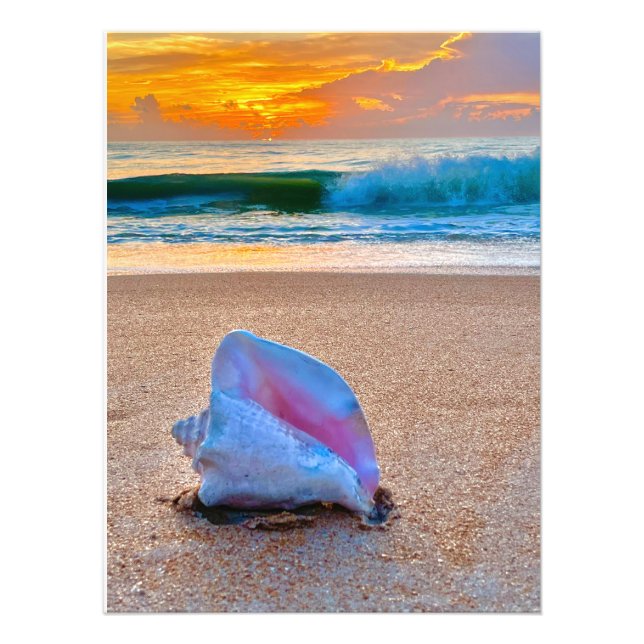 Sunrise Shell Photo Print (Front)