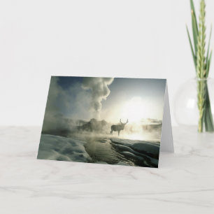 Sunrise Silhouette of Elk at Castle Geyser Card