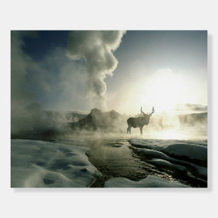 Sunrise Silhouette of Elk at Castle Geyser Foam Board