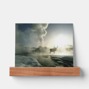 Sunrise Silhouette of Elk at Castle Geyser Picture Ledge