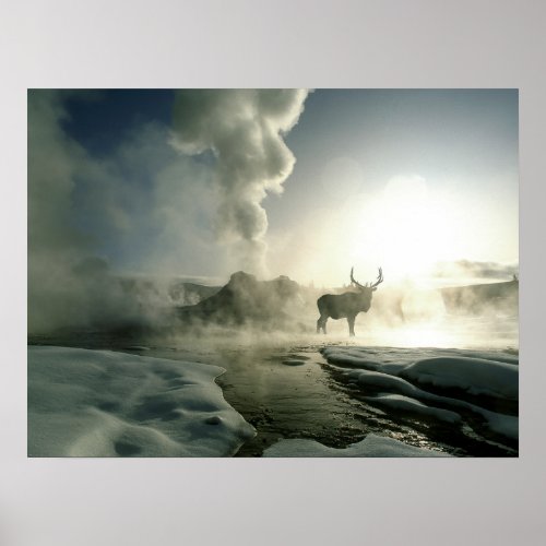 Sunrise Silhouette of Elk at Castle Geyser Poster