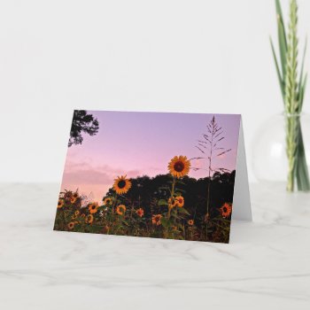 Sunrise Sunflowers Greeting Card by DesireeGriffiths at Zazzle