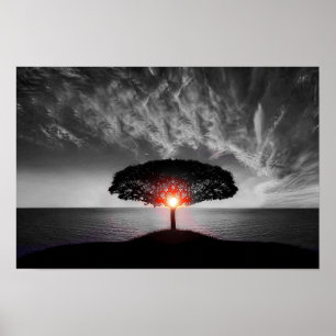 Sunrise Sunset: Colour Splash Poster