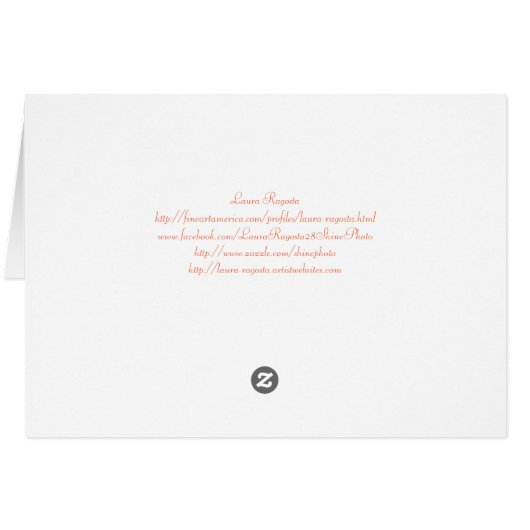 Sunrise through A fence (Back Horizontal)