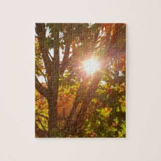 Sunrise Through Autumn Colored Tree Fall Photo Jigsaw Puzzle