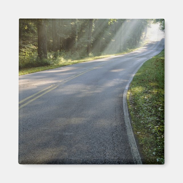 Sunrise through fog alongside Green River Magnet (Front)