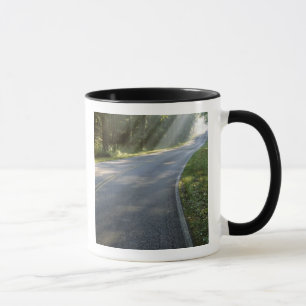 Sunrise through fog alongside Green River Mug