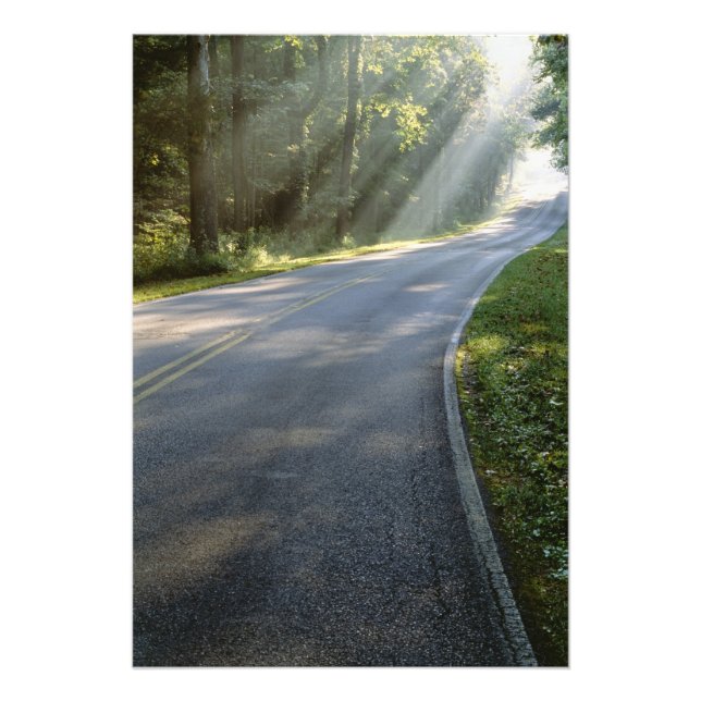 Sunrise through fog alongside Green River Photo Print (Front)