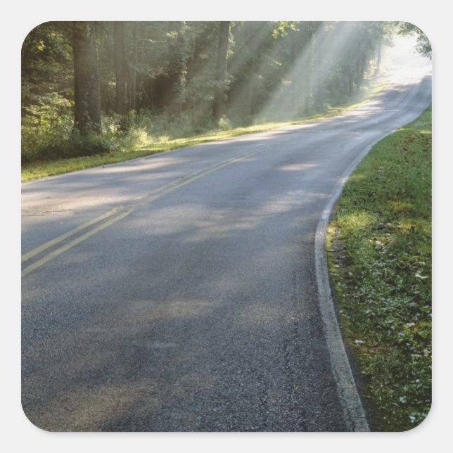 Sunrise through fog alongside Green River Square Sticker (Front)