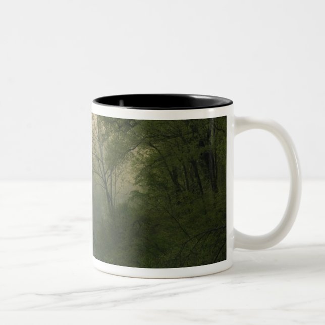 Sunrise through fog viewed from Red Bluff, Two-Tone Coffee Mug (Right)