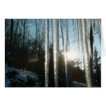 Sunrise Through Icicles Winter Nature Photography
