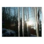 Sunrise Through Icicles Winter Nature Photography Card