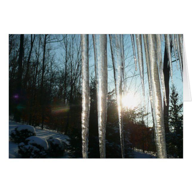 Sunrise Through Icicles Winter Nature Photography Cards (Front Horizontal)