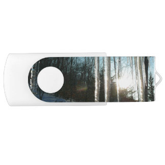 Sunrise Through Icicles Winter Nature Photography Flash Drive