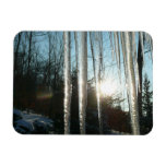 Sunrise Through Icicles Winter Nature Photography Magnet