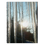 Sunrise Through Icicles Winter Nature Photography Notebook