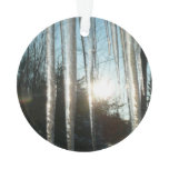 Sunrise Through Icicles Winter Nature Photography Ornament
