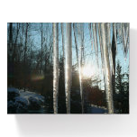 Sunrise Through Icicles Winter Nature Photography Paperweight
