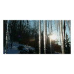 Sunrise Through Icicles Winter Nature Photography Poster