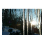 Sunrise Through Icicles Winter Nature Photography Poster