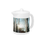 Sunrise Through Icicles Winter Nature Photography Teapot