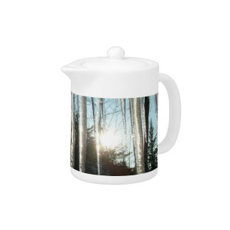 Sunrise Through Icicles Winter Nature Photography Teapot