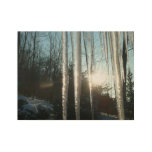 Sunrise Through Icicles Winter Nature Photography Wood Poster
