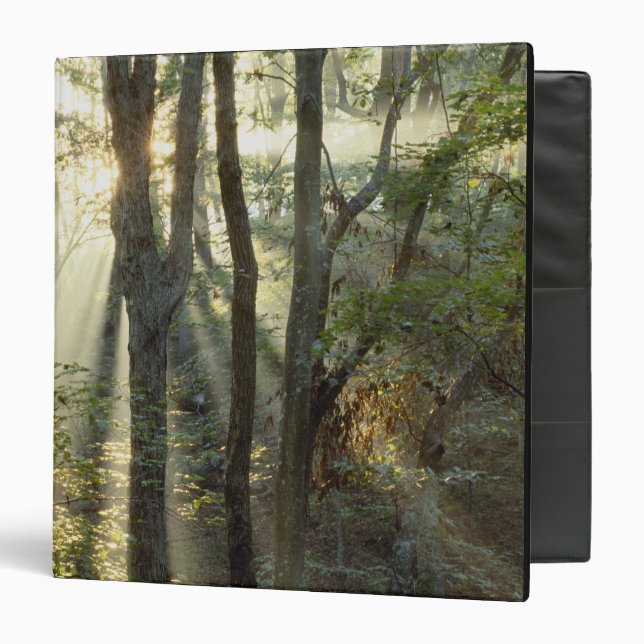 Sunrise through oak and hickory forest, 3 ring binder (Front/Inside)