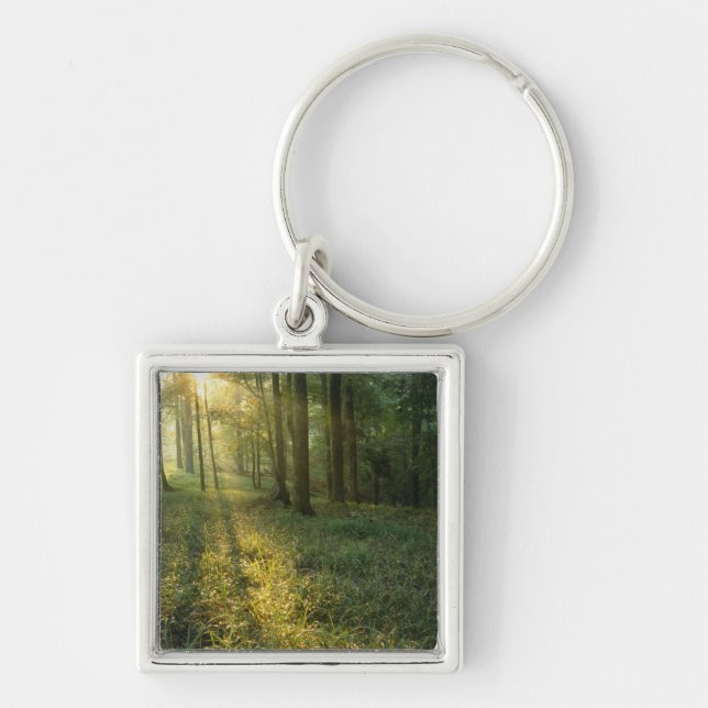 Sunrise through oak and hickory forest, Mammoth Keychain (Front)