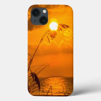 Sunrise through the grass