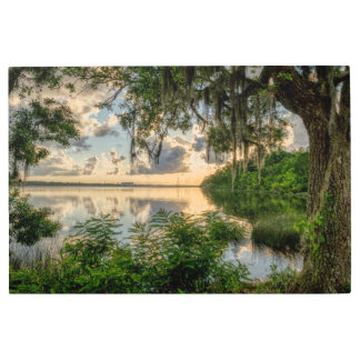 Sunrise through the Moss Metal Print