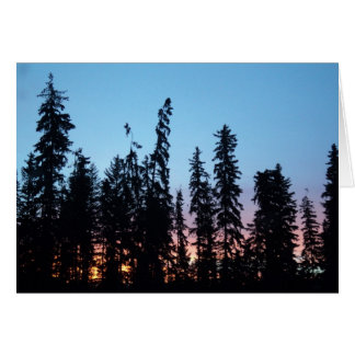 Sunrise through trees card
