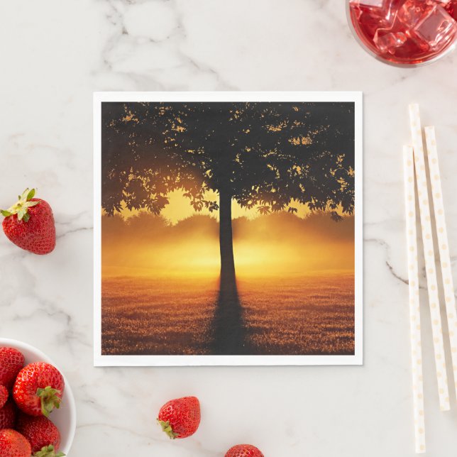 Sunrise, tree silhouette, napkins (Insitu)