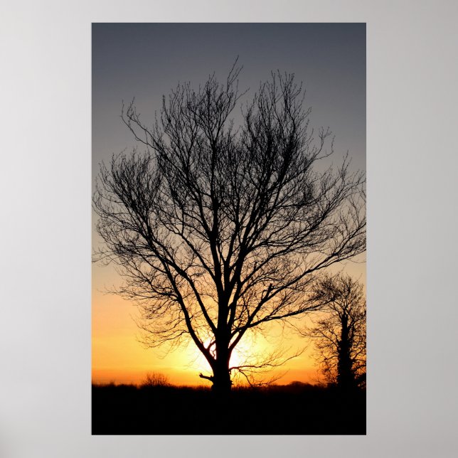 SunriseTree Poster (Front)