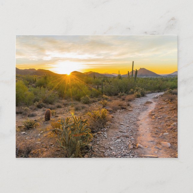 Sunrize Over Arizona Trail Postcard (Front)