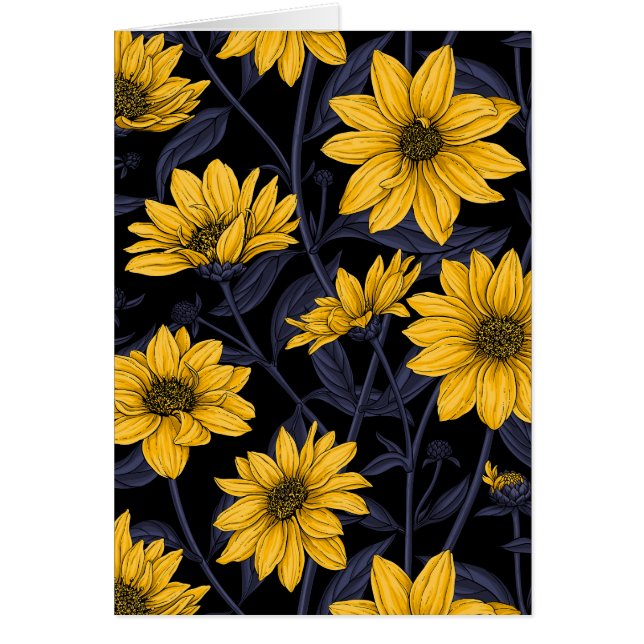 Sunroot, wild sunflower in yellow and blue cards (Front)