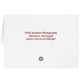 Sunset (Back Horizontal)