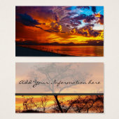 Sunset (Front & Back)