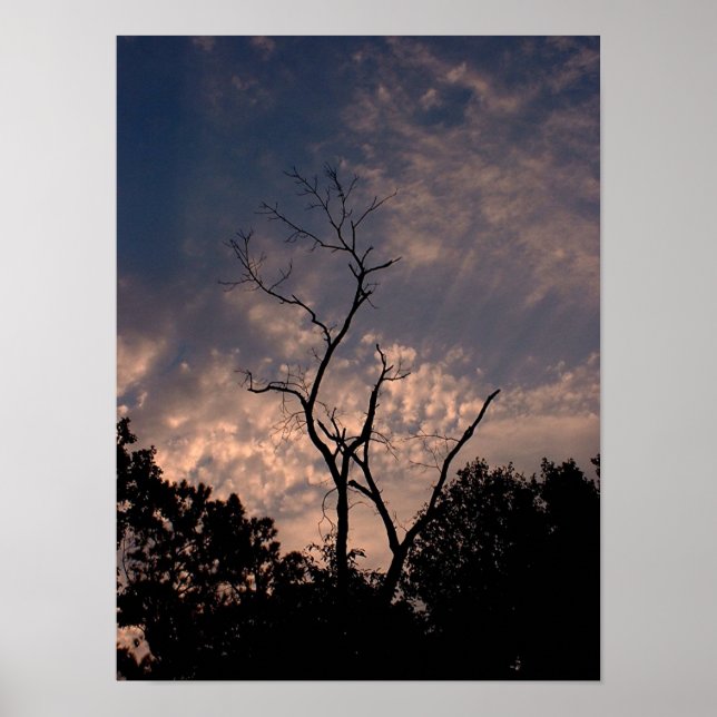 Sunset 18 poster (Front)