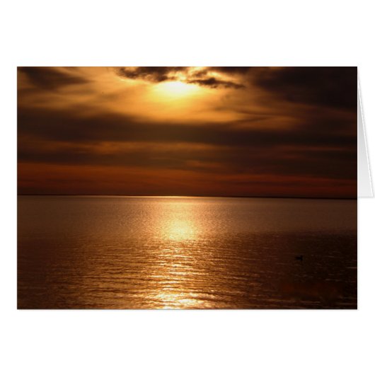 Sunset 5 cards (Front Horizontal)
