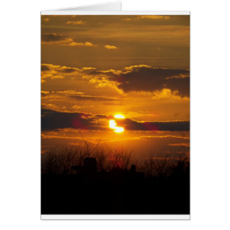 Sunset 5 cards