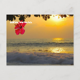 Sunset Aloha from Hawaii Postcard