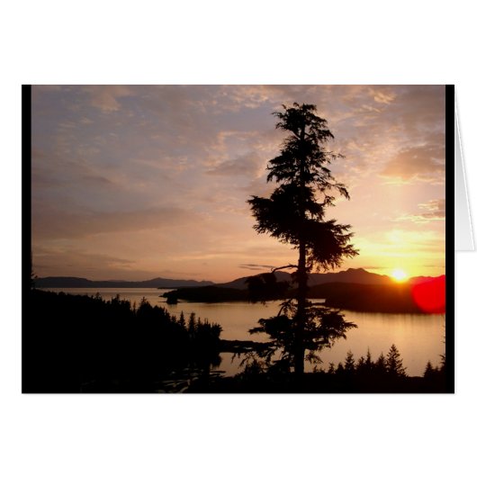 Sunset and Cedar trees Cards (Front Horizontal)