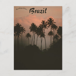 Sunset and Palm Trees in Brazil Postcard