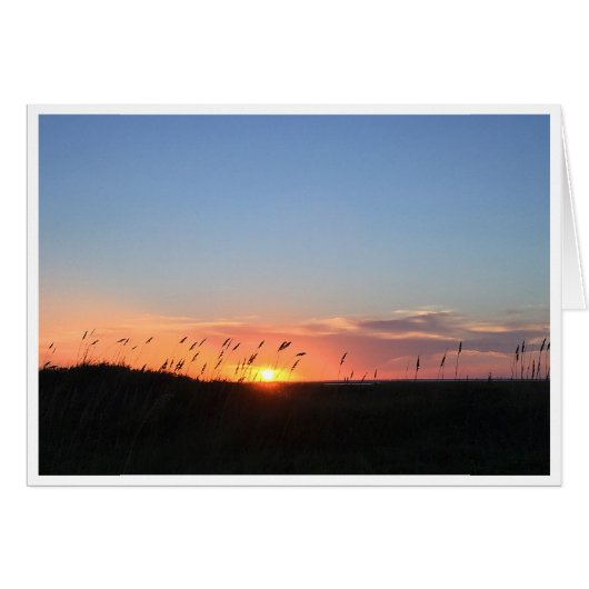 Sunset and Sea Oats on Matagorda Beach (Front Horizontal)