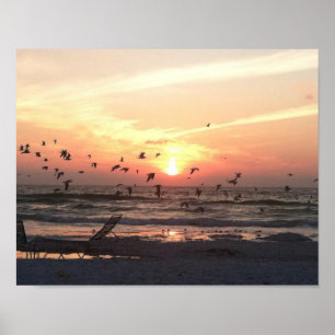 Sunset and Seagulls on the Water Picture Poster